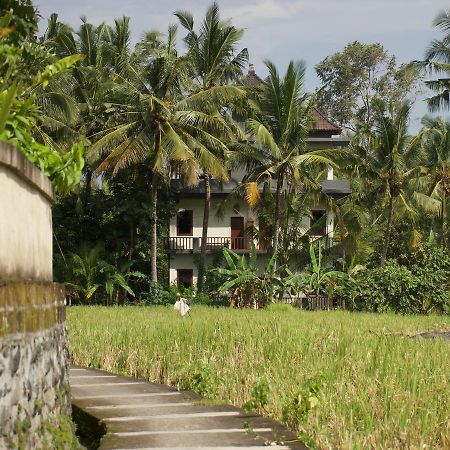 Eden House Ubud Εξωτερικό φωτογραφία