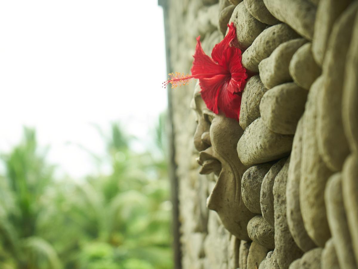Eden House Ubud Εξωτερικό φωτογραφία